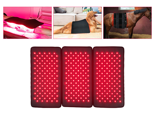 피부 회춘을 위한 PDT 처리 빨간 792pcs LED 가벼운 치료 기계